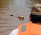 Inundaciones en El Progreso, Yoro