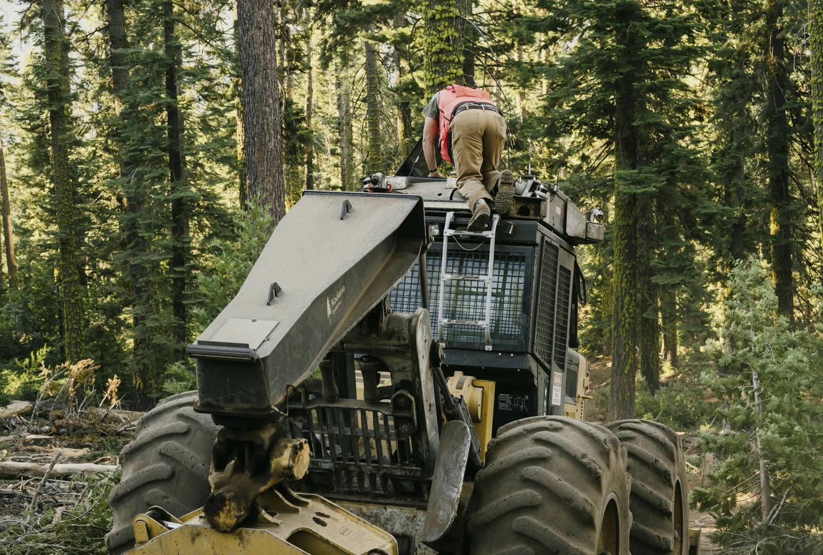 $!Los arradtradores son vehículos de 3 metros de altura sobre cuatro enormes ruedas que transportan troncos del bosque.