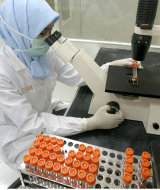 Centroamérica busca unificar criterios para combatir extraña enfermedad renal