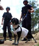 Así se prepara la nueva generación de policías
