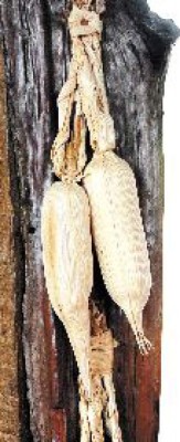 Inolvidable cerebración triniteca