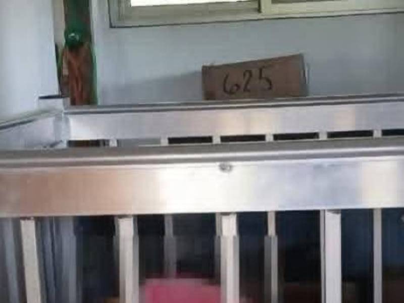 La muerte de la estadounidense Joanne Johnston ocurrió en el interior de su vivienda.