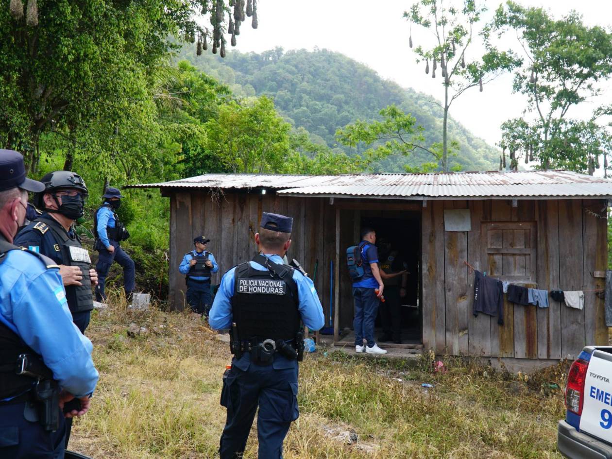 La producción de droga, una clave para la MS-13. Ya no dependen de importaciones ni de terceros, sino de su propia logística para multiplicar las ganancias.