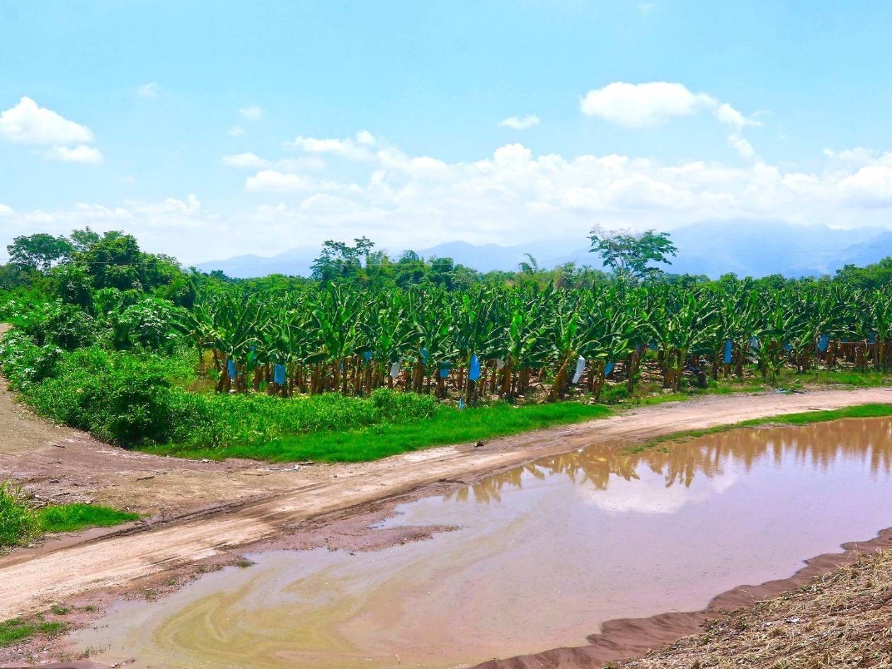 El bordo de Camul, en San Manuel, Cortés, es uno de los proyectos finalizados por parte del Gobierno.