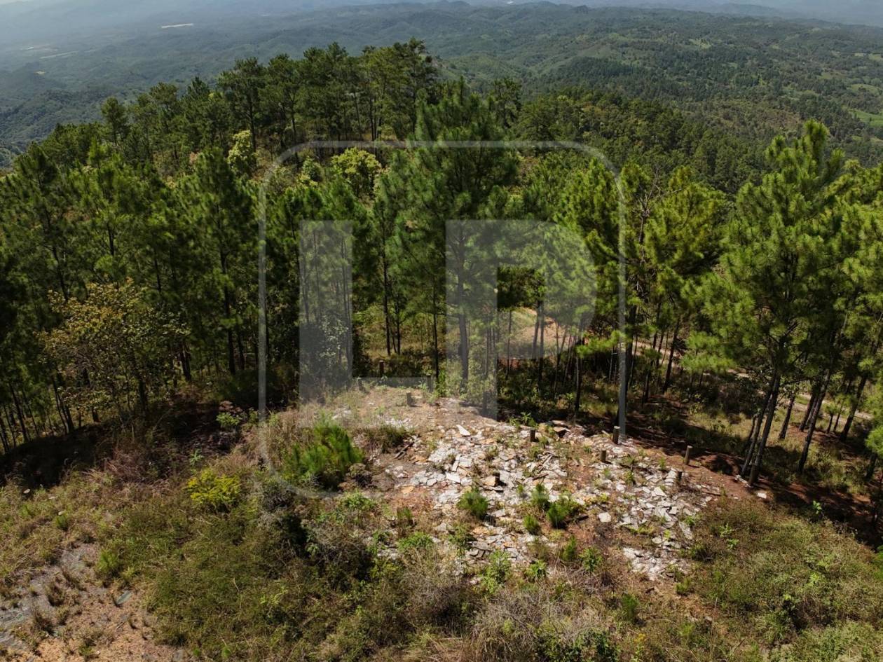 De la prosperidad que alguna vez reinó en la hacienda de Magdaleno Meza, LA PRENSA Premium comprobó que hoy no queda más que ruinas. El saqueo se aceleró tras la muerte del capo.