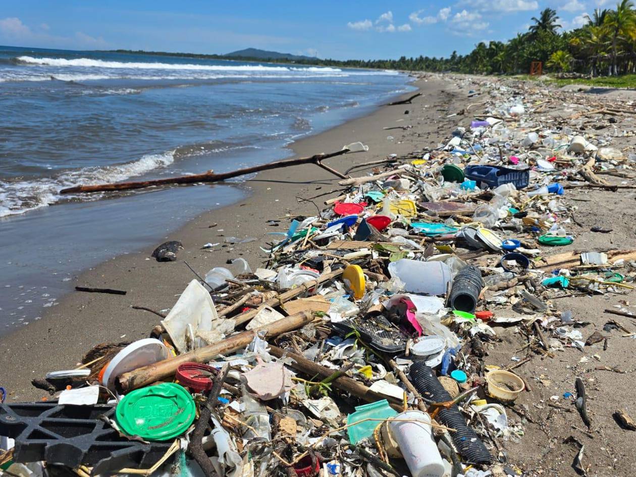 Así se encuentran las playas de las comunidades garífunas de Bajamar y Travesía. Hace apenas una semana fue el feriado morazánico y se limpiaron a diario, pero ahora que mermó la llegada de visitantes así luce. Aquí la basura que arroja el Chamelecón.