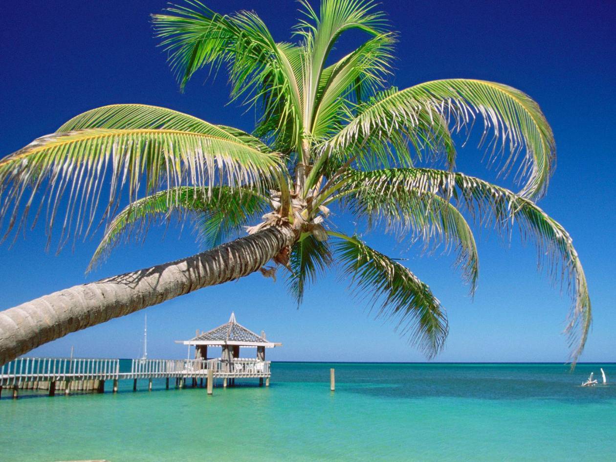 Roatán es un destino ideal para disfrutar durante la Semana Santa y ofrece actividades diversas para los veraneantes.