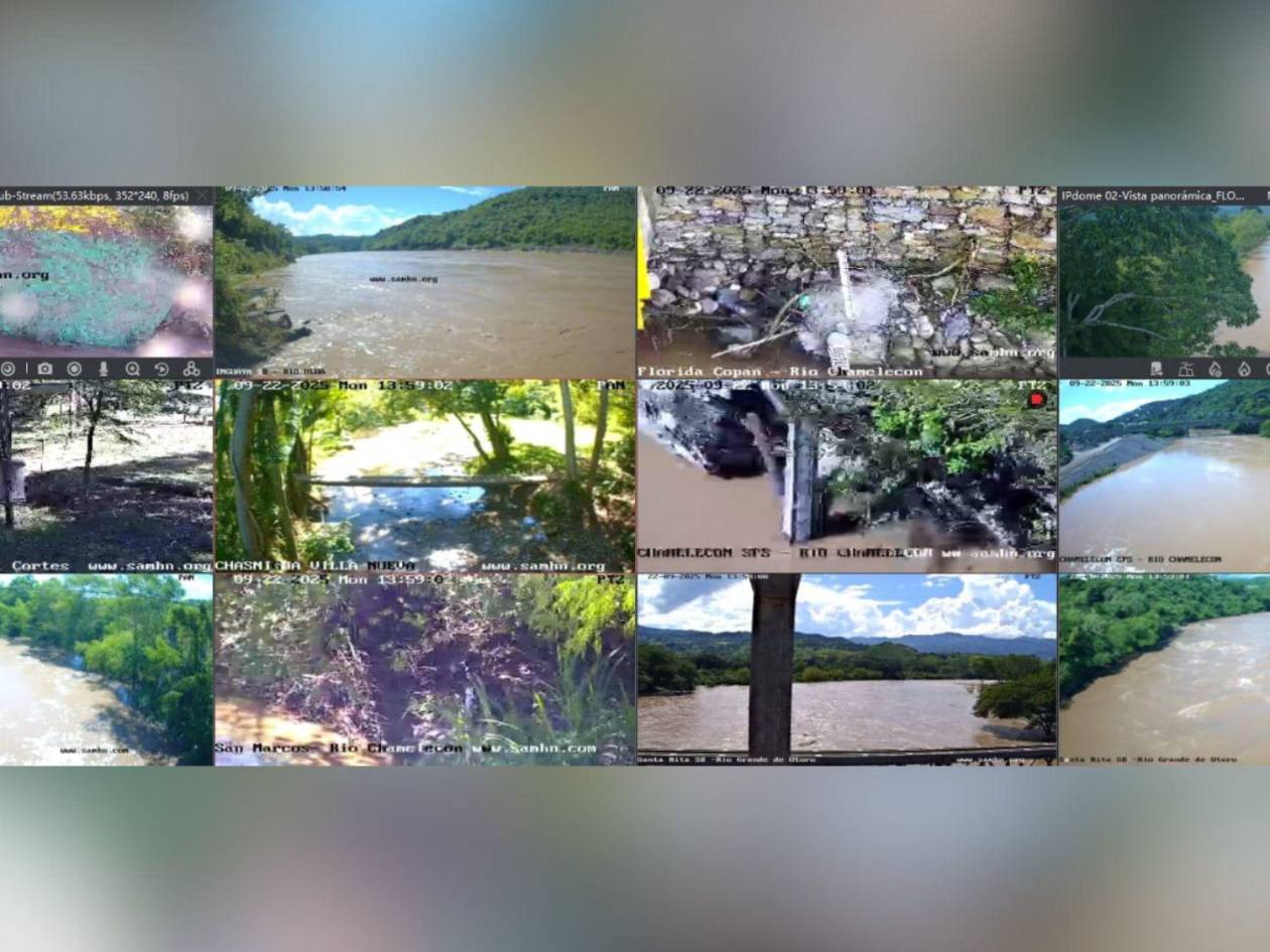 Al menos 24 puntos están bajo monitoreo de la red del instituto.