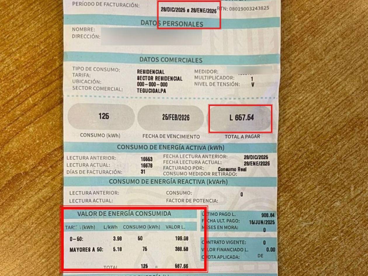 Factura de un usuario que registró un consumo de 125 kWh y debe abonar el total del servicio sin subsidio a partir de enero.