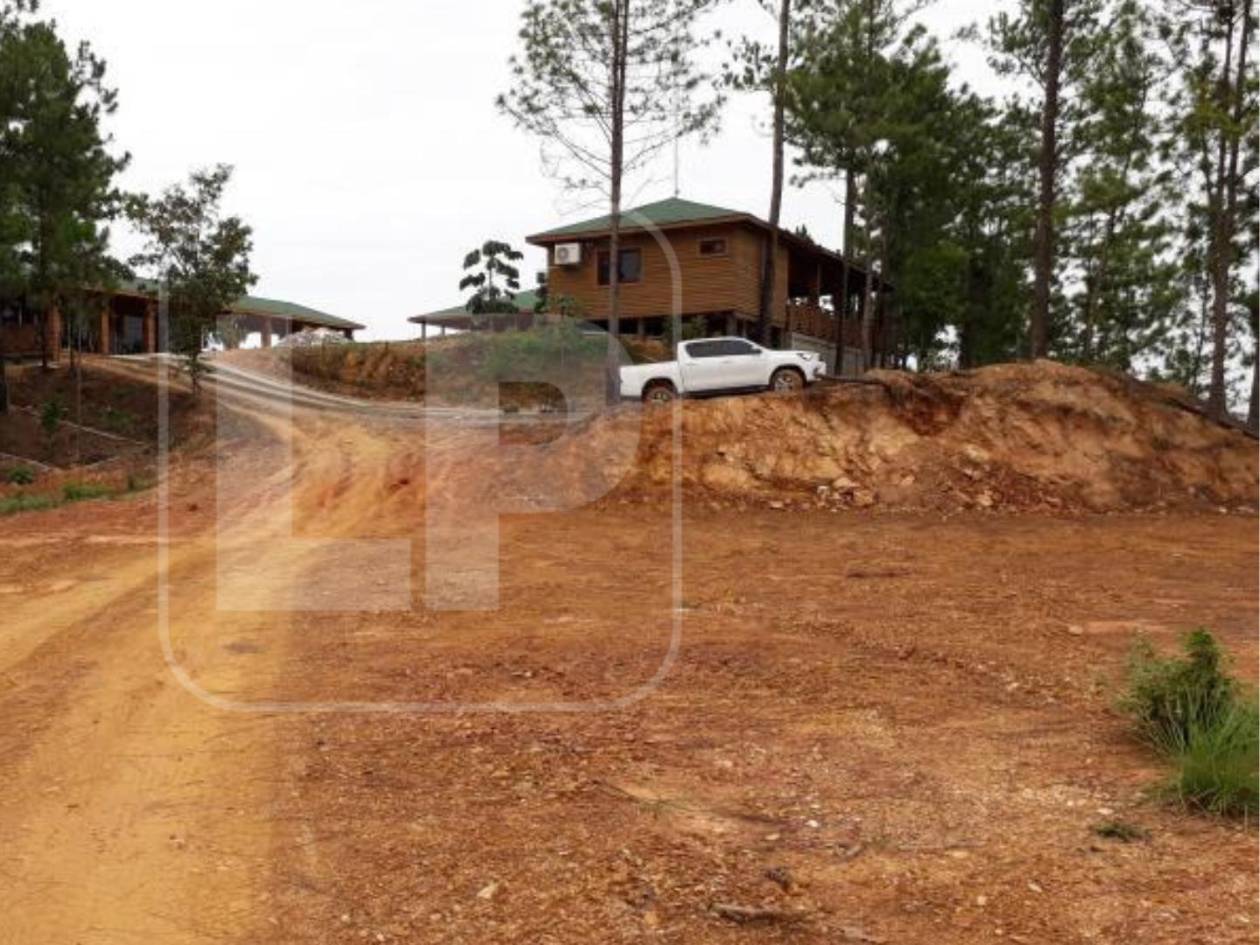 La cabaña se encontraba en la parte alta de una hacienda ubicada en la aldea Valladolid, en las cercanías de Santa Cruz de Minas, municipio de Quimistán, Santa Bárbara, que también fue objeto de aseguramiento.
