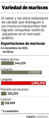 Socializan veda de camarones para frenar la baja producción