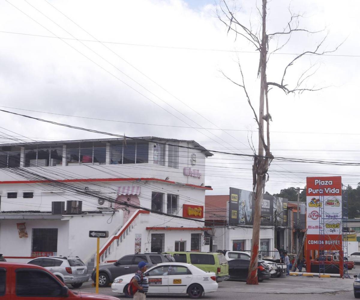 En Santa Rosa las opiniones están divididas, algunos consideran que Isis Cuéllar ha contribuido a su ciudad y departamento, otros discrepan y cuestionan tanto su gestión como los señalamientos.