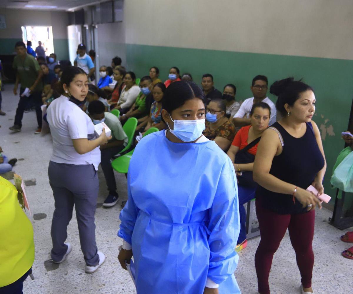 Quienes permanecen en el sistema público enfrentan condiciones laborales precarias, con contratos temporales y sin perspectivas claras de estabilidad.