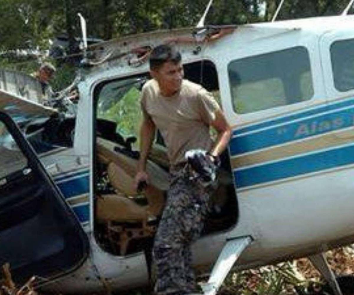 En 2012, la avioneta se estrelló contra una plantación de piñas.