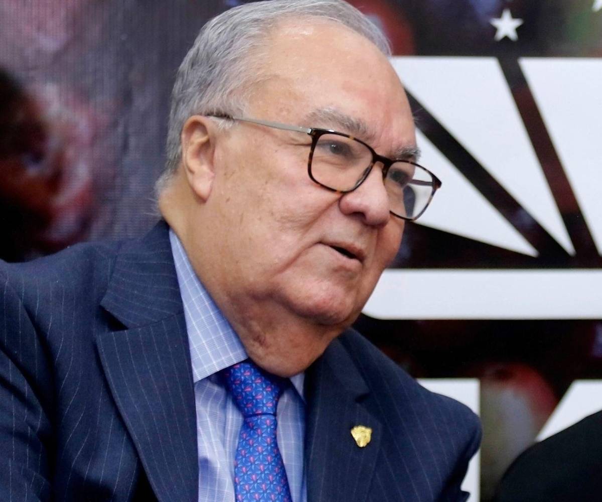 <b>Ha servido como Embajador de Honduras en muchos países, representante Permanente de Honduras ante la Naciones Unidas en Nueva York, así como representante ante la ONU en Ginebra y ante la Unión Europea.</b>