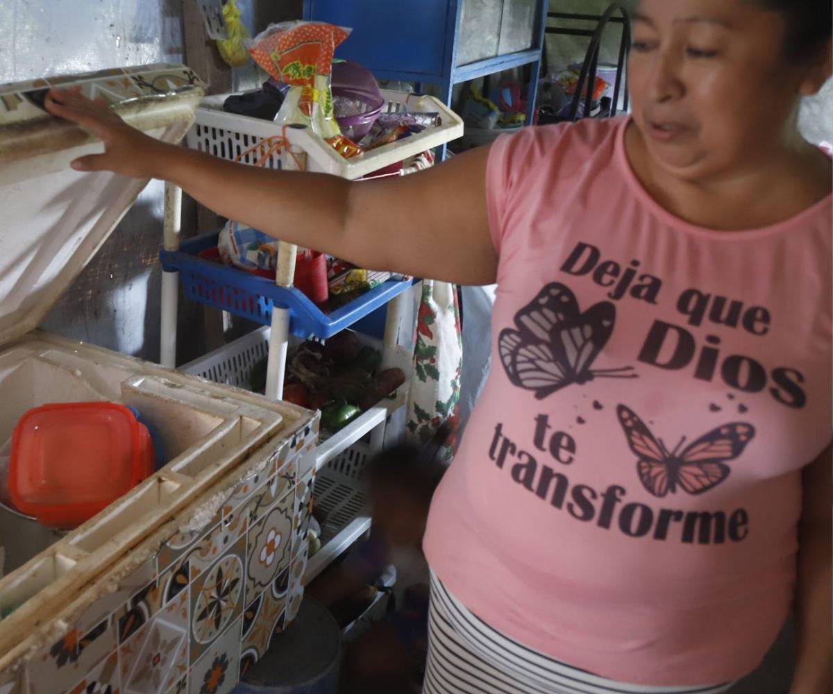Las familias recurren a hieleras para conservar sus alimentos y protegerlos del calor.