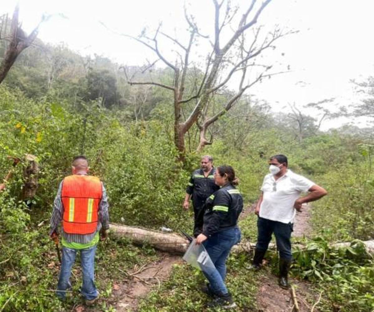 Equipos técnicos trabajaron en la recolección de muestras contaminadas con cianuro, con el objetivo de trasladarlas a Norteamérica y determinar si existe o no contaminación en la zona afectada.