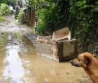 Fotografía en la que se observa una zona aledaña al lago de Yojoa afectada por inundaciones en las últimas semanas.