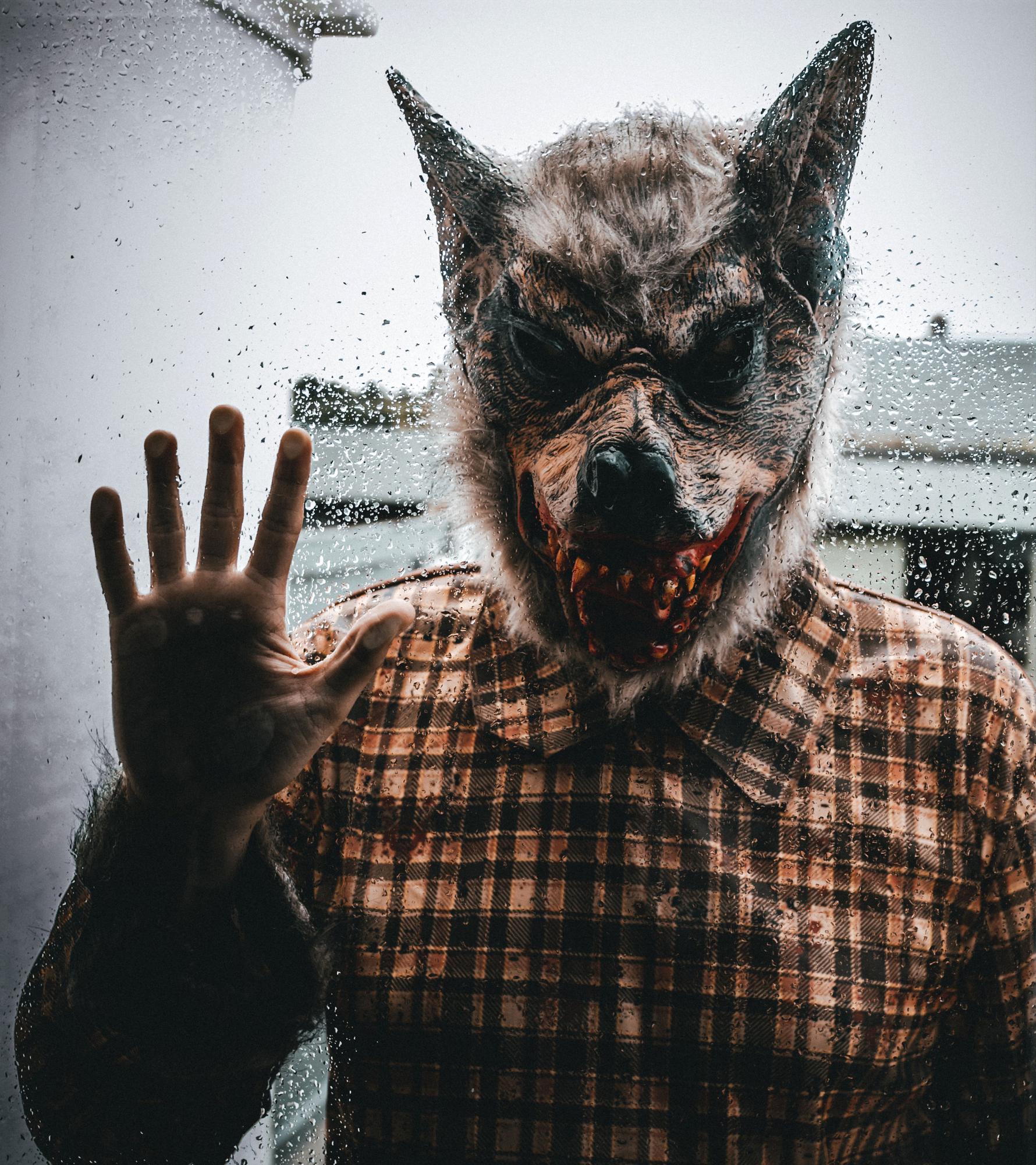 Tras sufrir una alteración cerebral la vida mental de algunas personas “se vio desagradablemente enriquecida” al sentir que su cuerpo pertenecía a un animal de otra especie, como por ejemplo un lobo.
