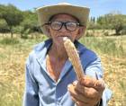 Gertrudis Paz muestra lo que queda de un cultivo de mazorcas afectado por la sequía este jueves, en Marcovia (Honduras).