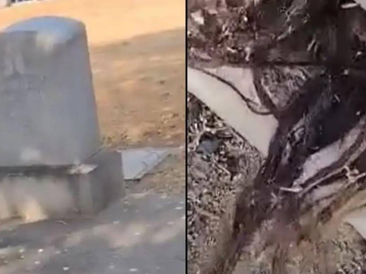 Video viral: hombre halla cabello humano saliendo de una tumba