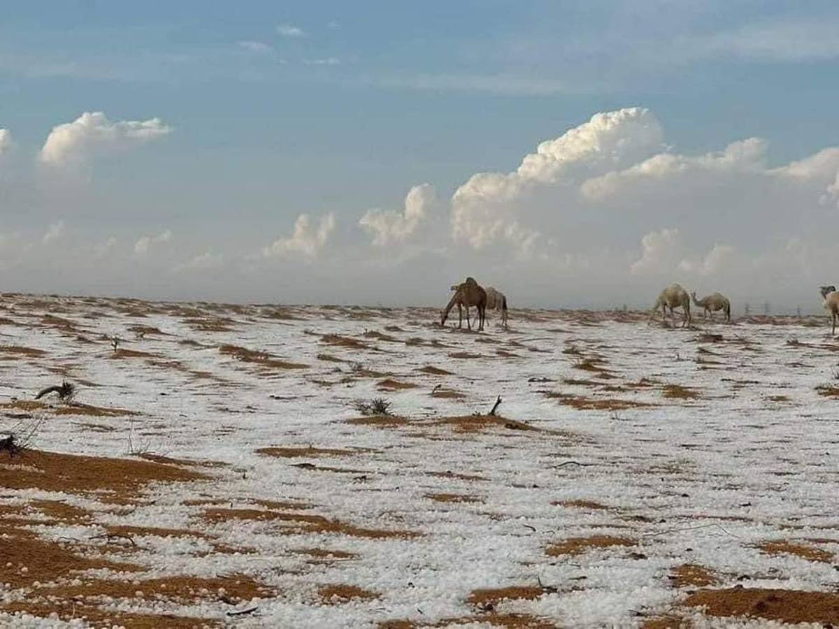 El desierto de Arabia Saudita se cubre de nieve por primera vez en la  historia, en un raro fenómeno