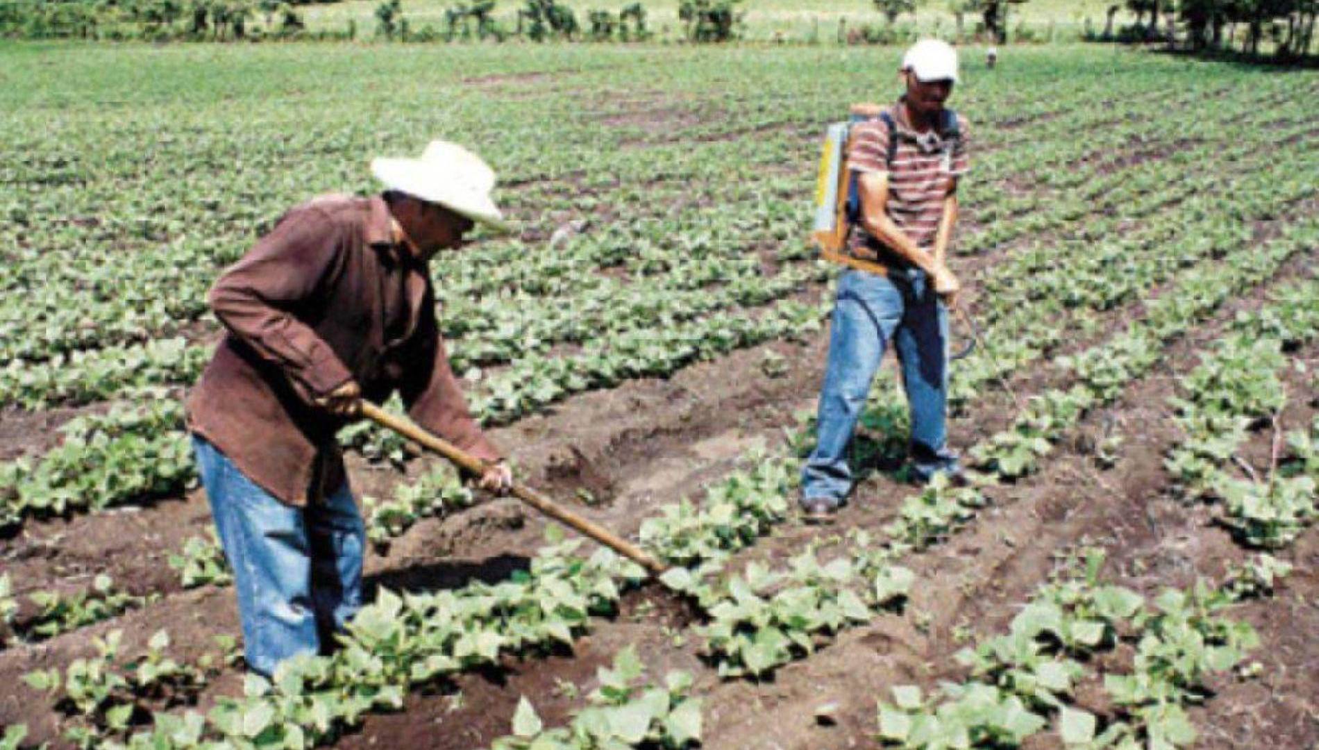 El programa aglutina diversas empresas que apoyan el sector agrícola, emprendedores y la inclusión financiera. $!El programa aglutina diversas empresas que apoyan el sector agrícola, emprendedores y la inclusión financiera.