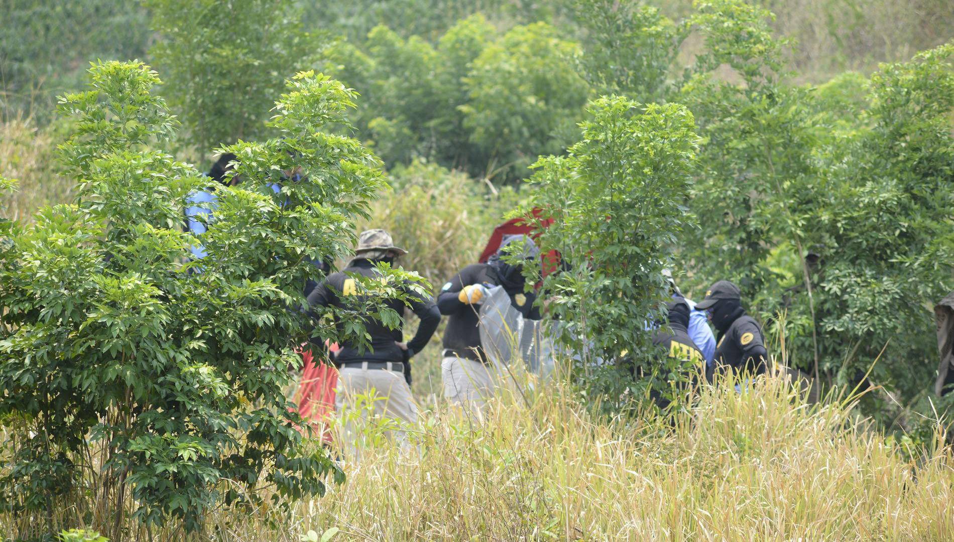 $!La posibilidad de encontrar más cuerpos en estas áreas aumenta debido a la vasta extensión de los terrenos. Las autoridades no terminan de “peinar” por completo las zonas focales.