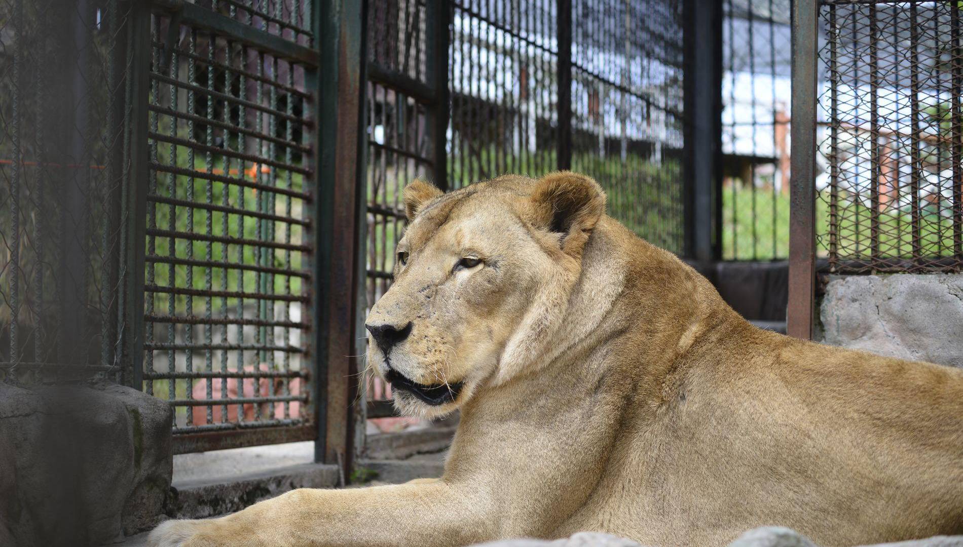 $!Joya Grande es un verdadero santuario de vida silvestre que trabaja para conservar especies.