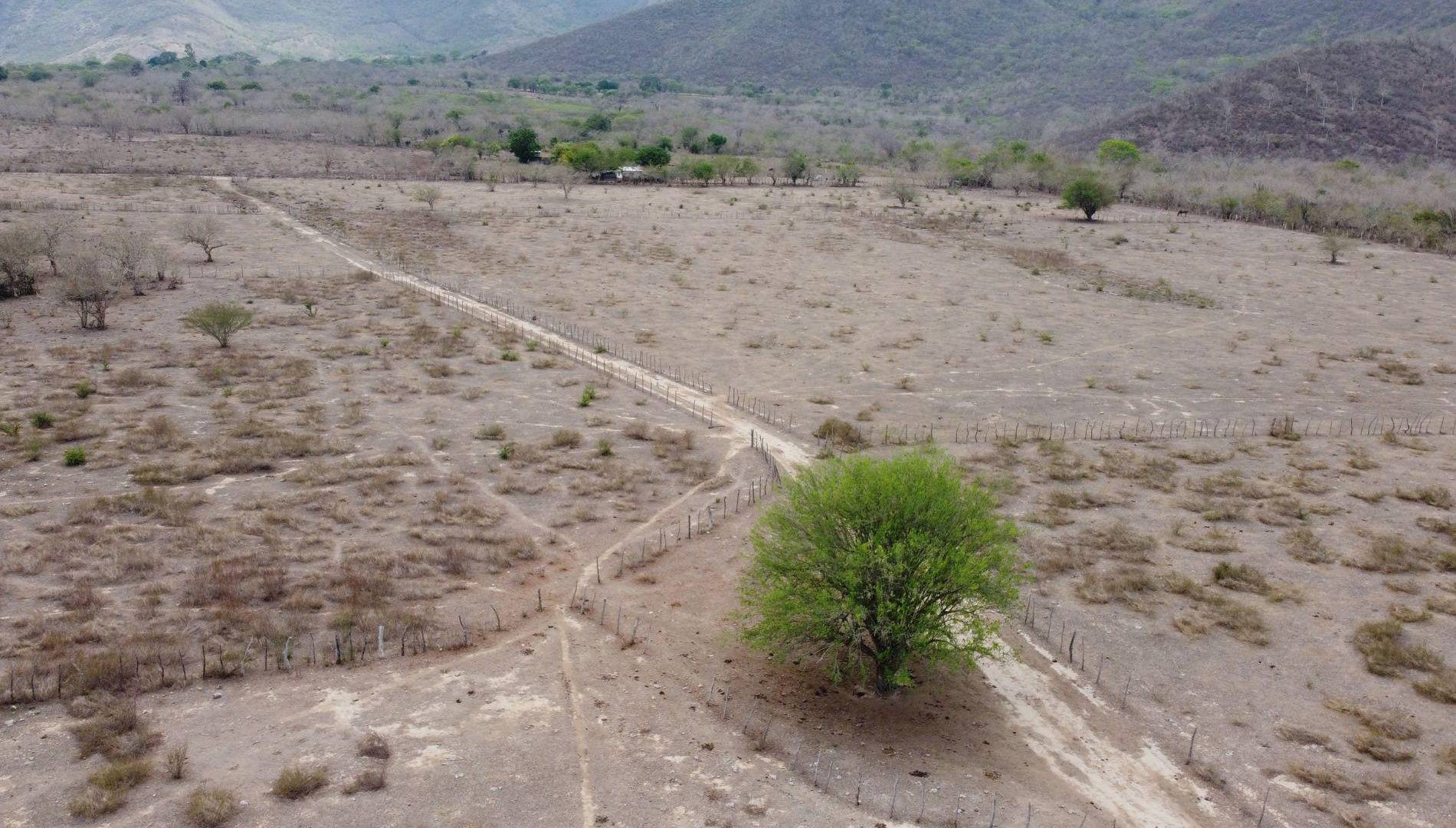 $!El Gobierno sigue vigilante de la evolución de la sequía en los municipios bajo alerta.