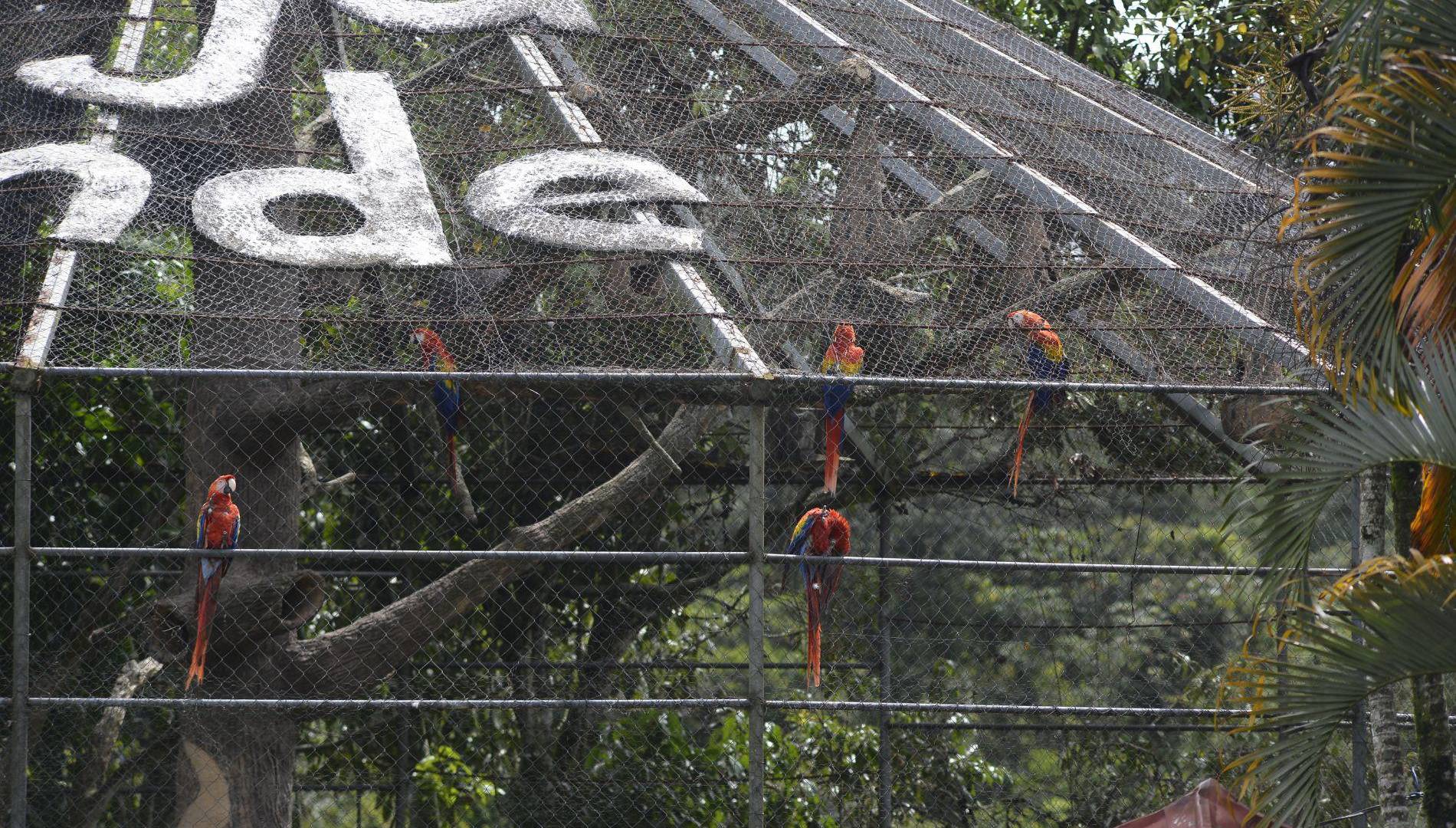 $!Este zoológico ha sido un imán para las familias, ofreciendo a los visitantes la oportunidad de observar especies tanto locales como de otros rincones del mundo.