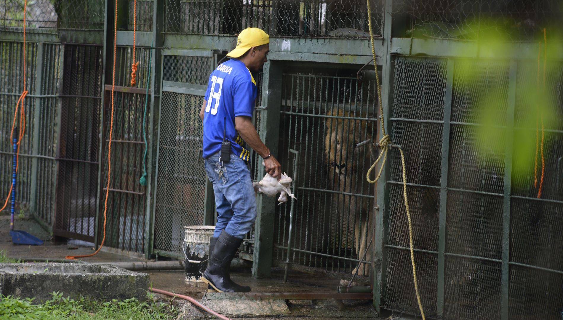 $!Se busca mejorar la conservación para proteger y educar sobre la importancia de cuidar la biodiversidad.
