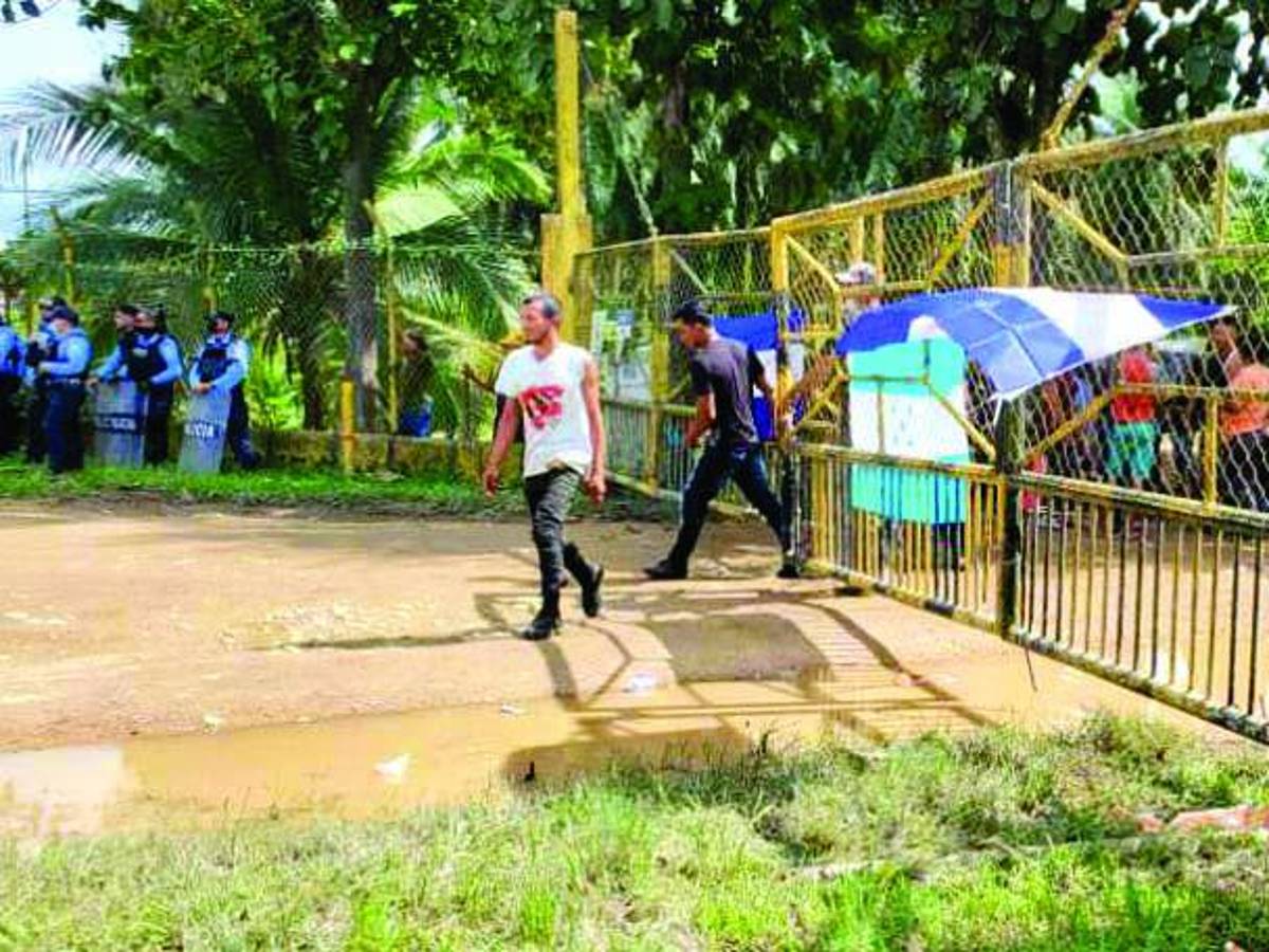 Se agudiza crisis por tomas de fincas en el Bajo Aguán