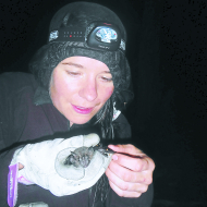 El cusuco maravilla  a científicos