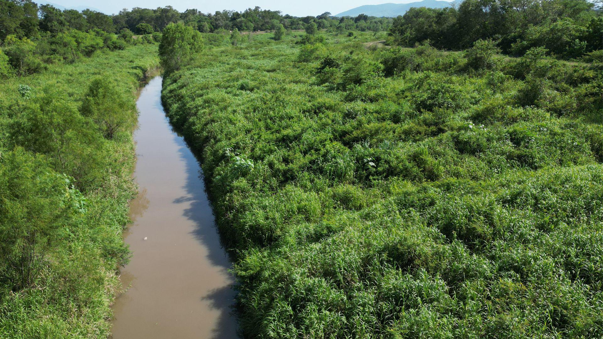El canal Maya es un alivio del río Chamelecón donde se pretenden rehabilitar 11 kilometros.