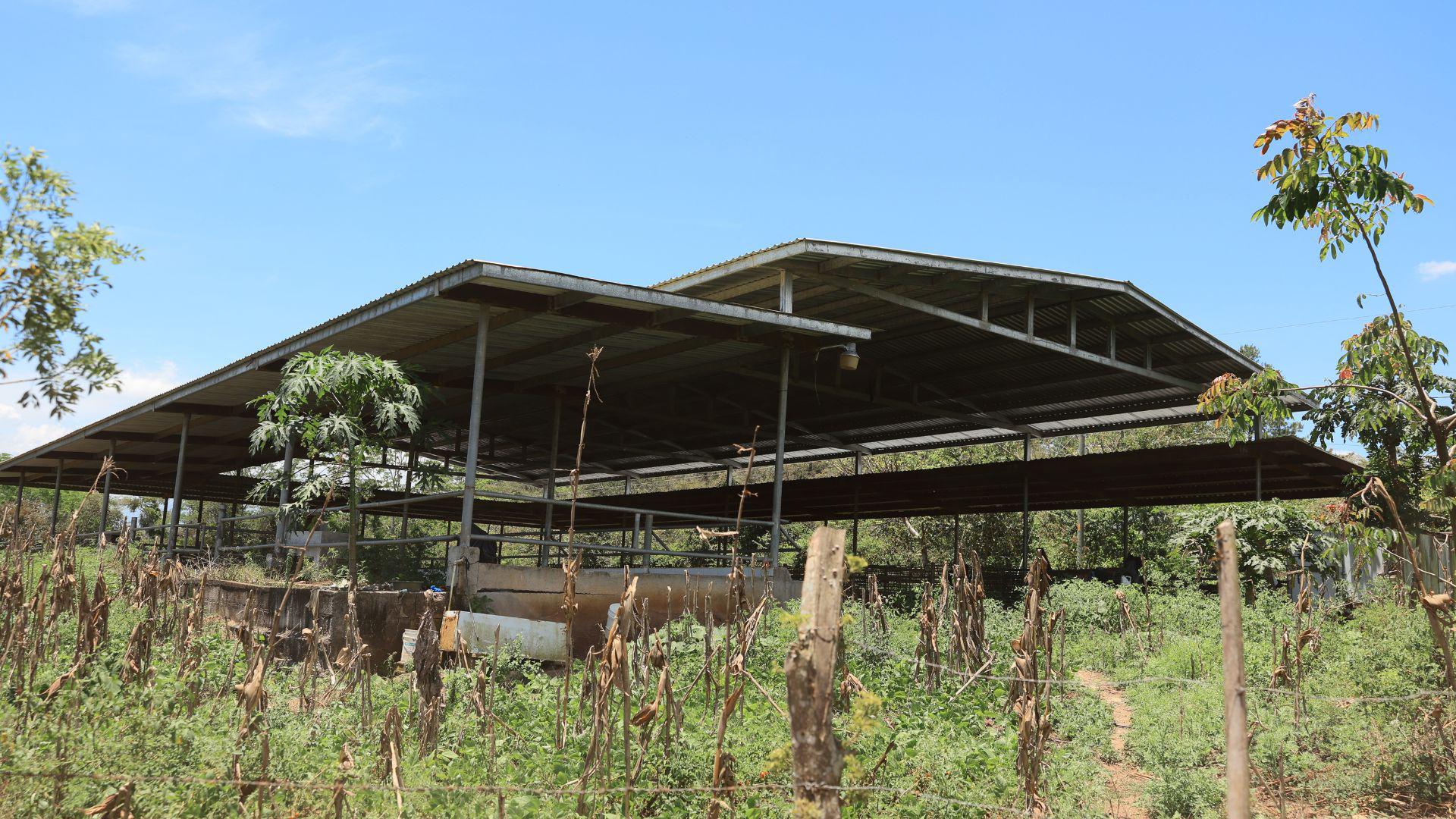 Son cinco mil manzanas de terrenos en Quimistan que pasaron al Estado, pero una parte esta arrendada a una cooperativa campesina y la otra ha sido invadida.