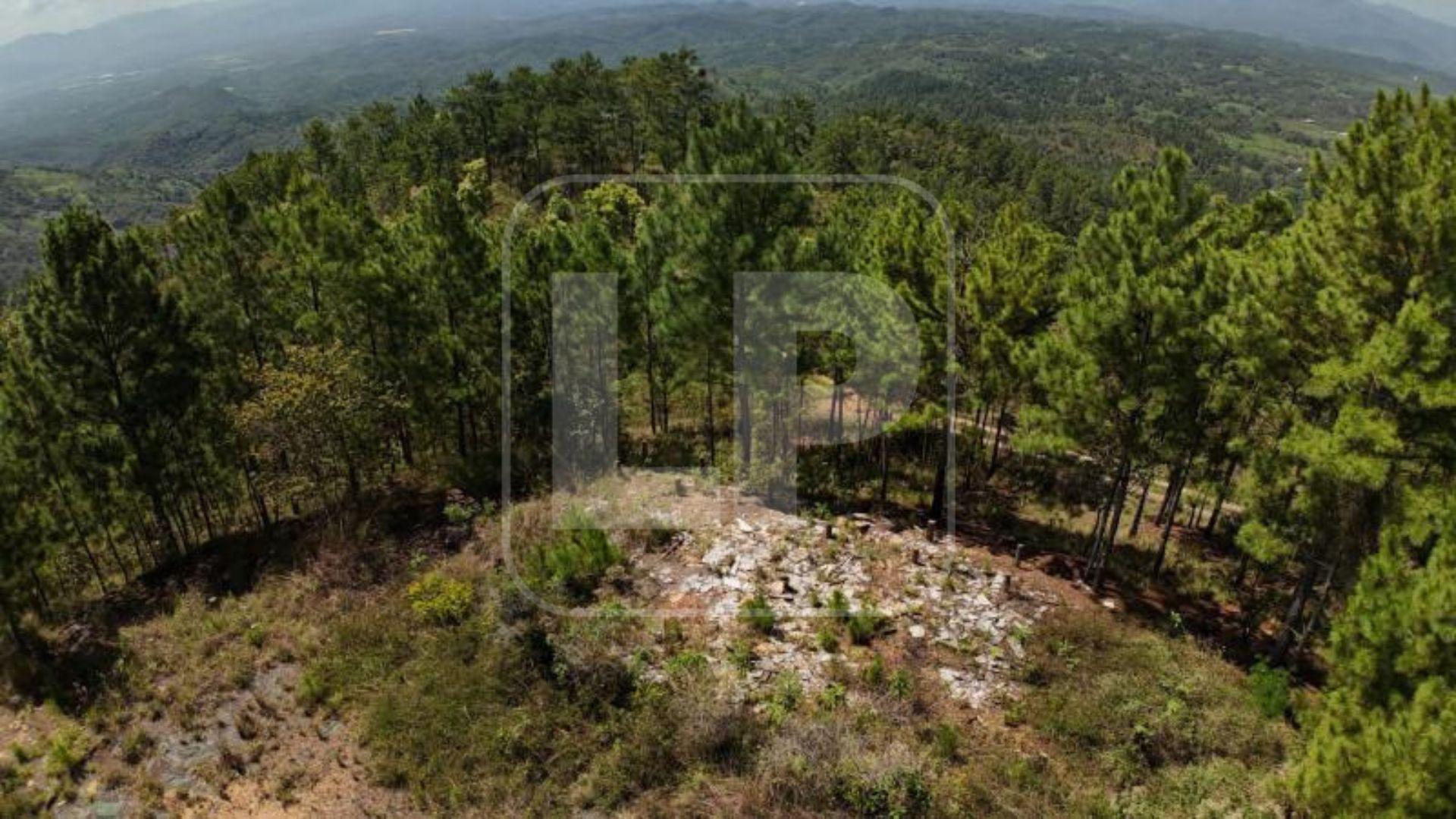 En lo alto de una colina Magdaleno Meza construyó la cabaña de descanso, ocho años despues de su incautación ya no existe. El inmueble estaba a nombre de su esposa.