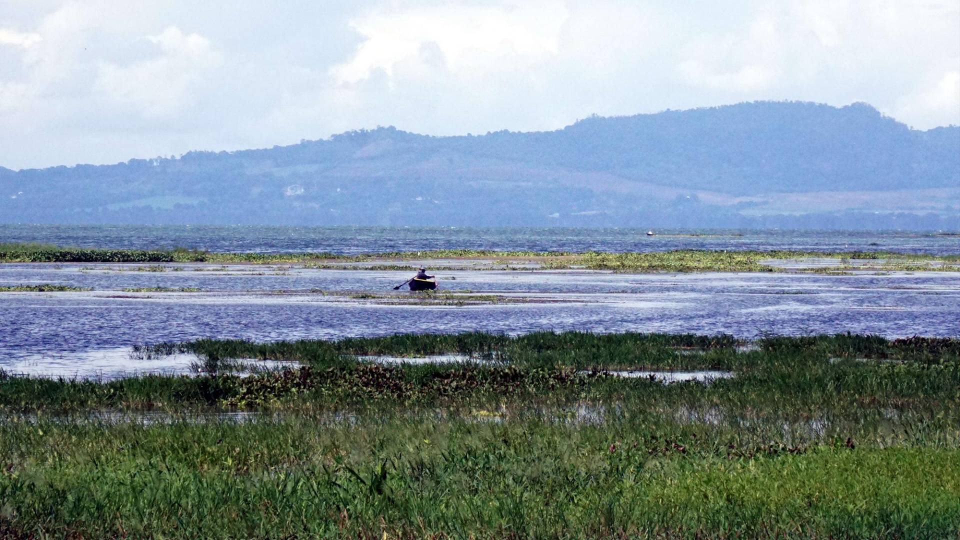 $!Las autoridades interventoras buscan regular la construcción de muelles en el Lago de Yojoa a fin de que no impacten en el ecosistema acuático.