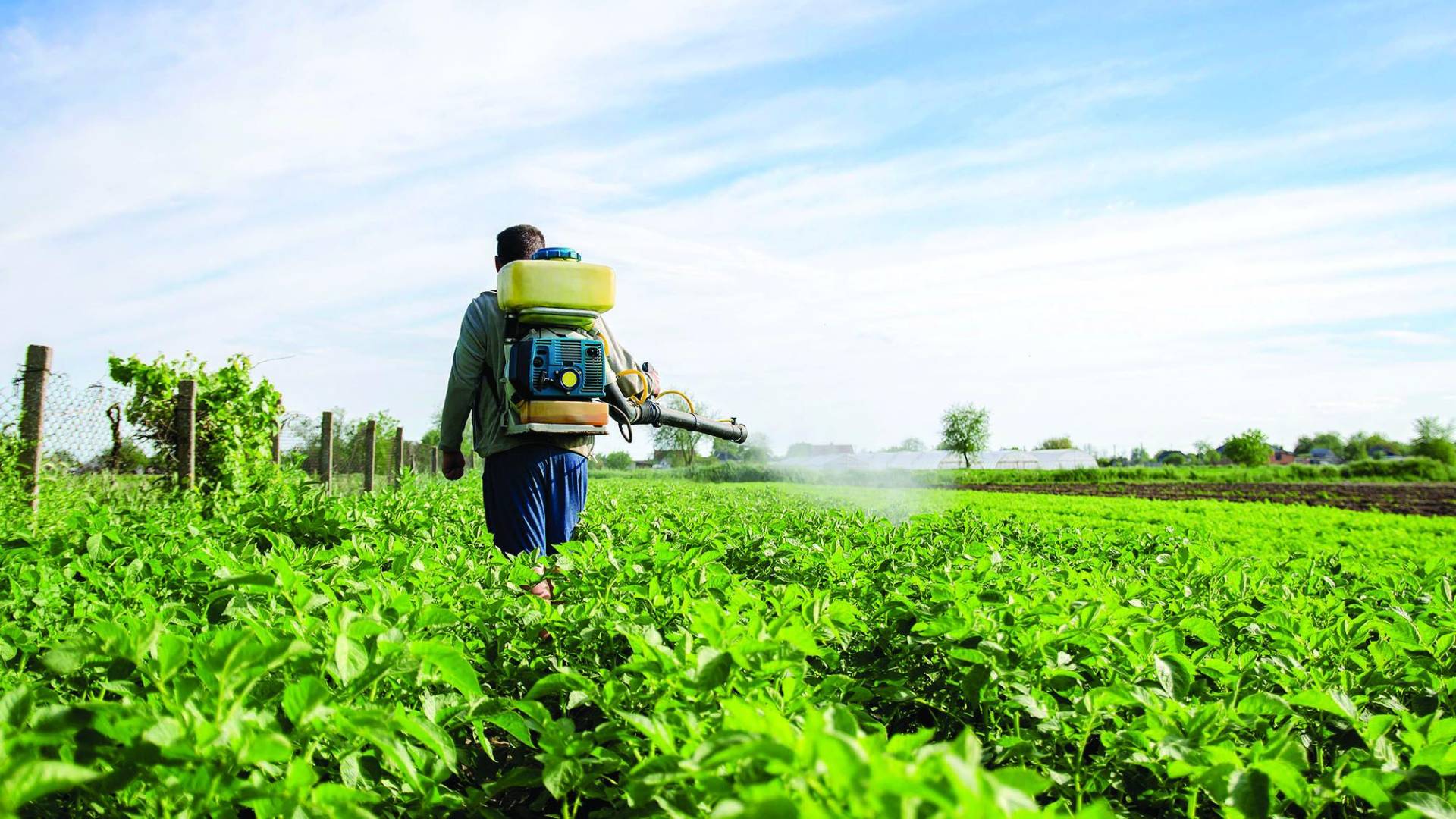 $!Rubros como la banca (arriba) pagan el salario mínimo más alto; la agricultura, los más bajos.