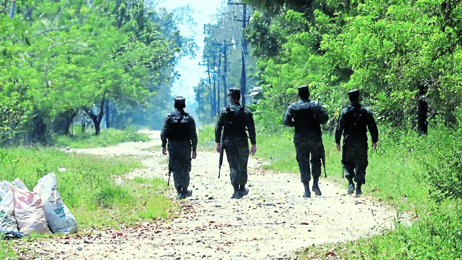 $!Hay zonas como Catacamas, Patuca y San Francisco Bulnes que una sola plantación supera los 100,000 arbustos.