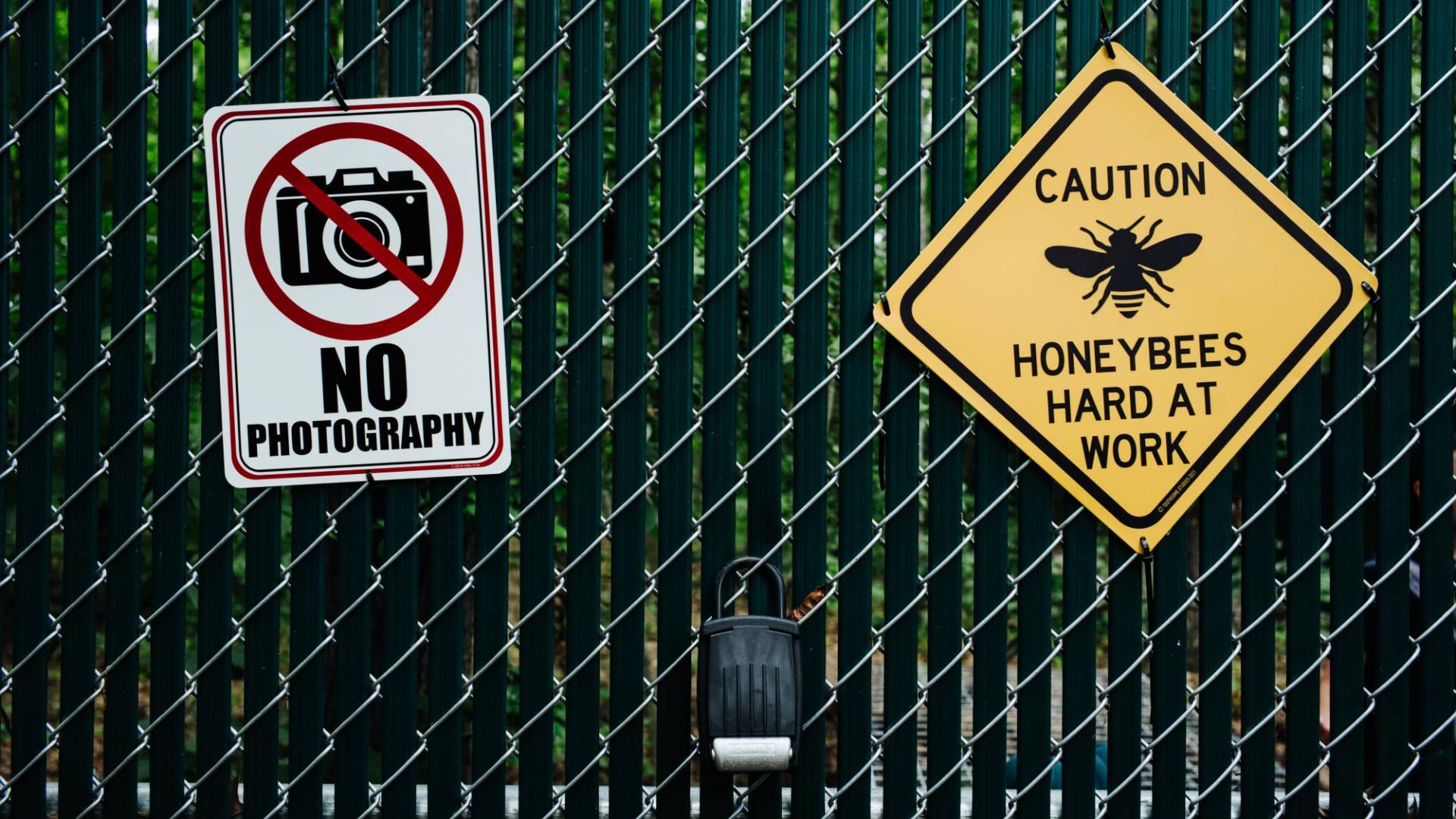 $!Investigadores de la “granja de cuerpos” esperan usar abejas para dilucidar una fórmula para la descomposición humana.