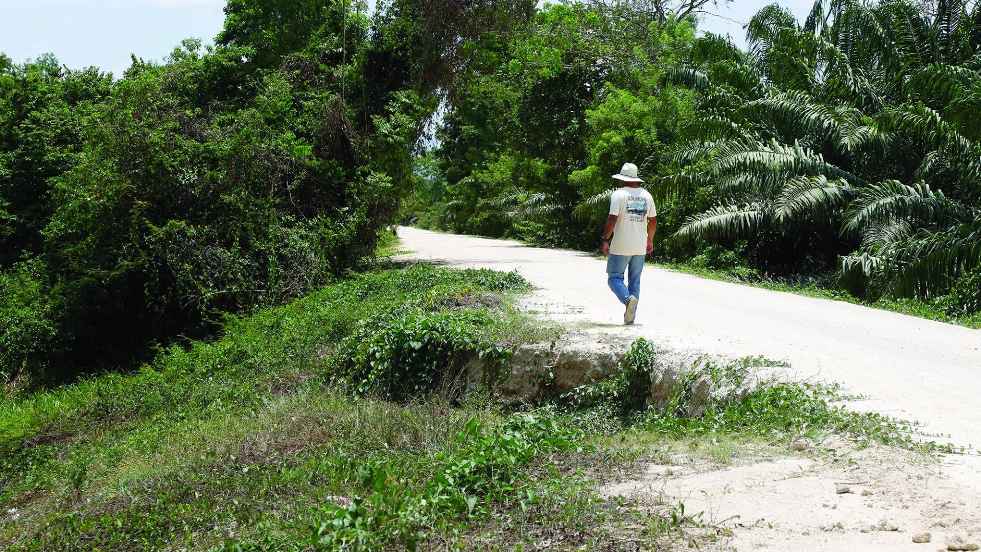 $!La municipalidad de El Progreso trabaja en levantar bordos y dragar canales. En Santa Rita urgen reparaciones en bordos.
