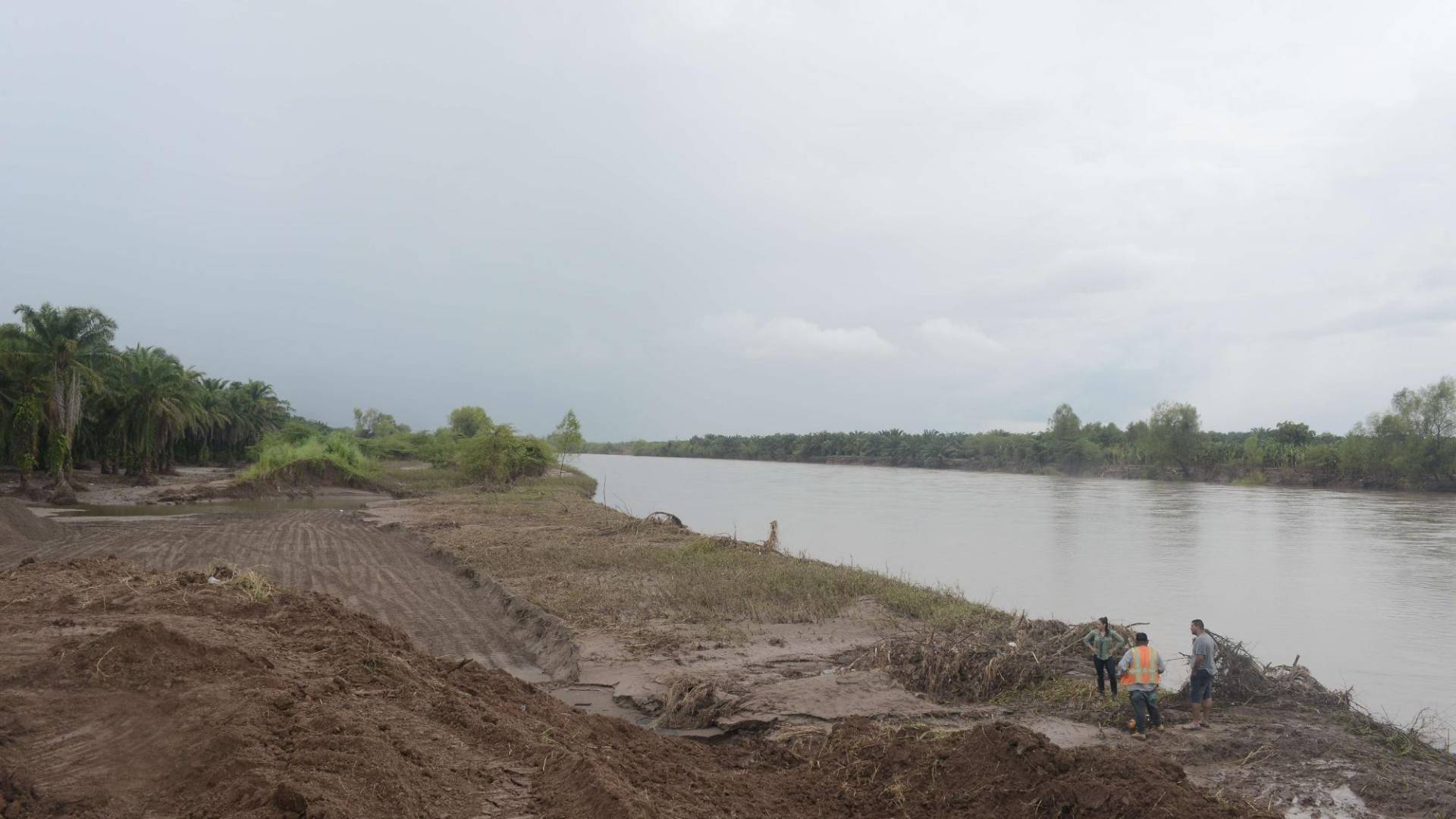 $!<b>La primera ruptura del Ulúa en El Progreso es en Buena Vista, donde ayer estaban tratando de arreglar para evitar inundaciones por posibles crecidas del río Ulúa.</b>