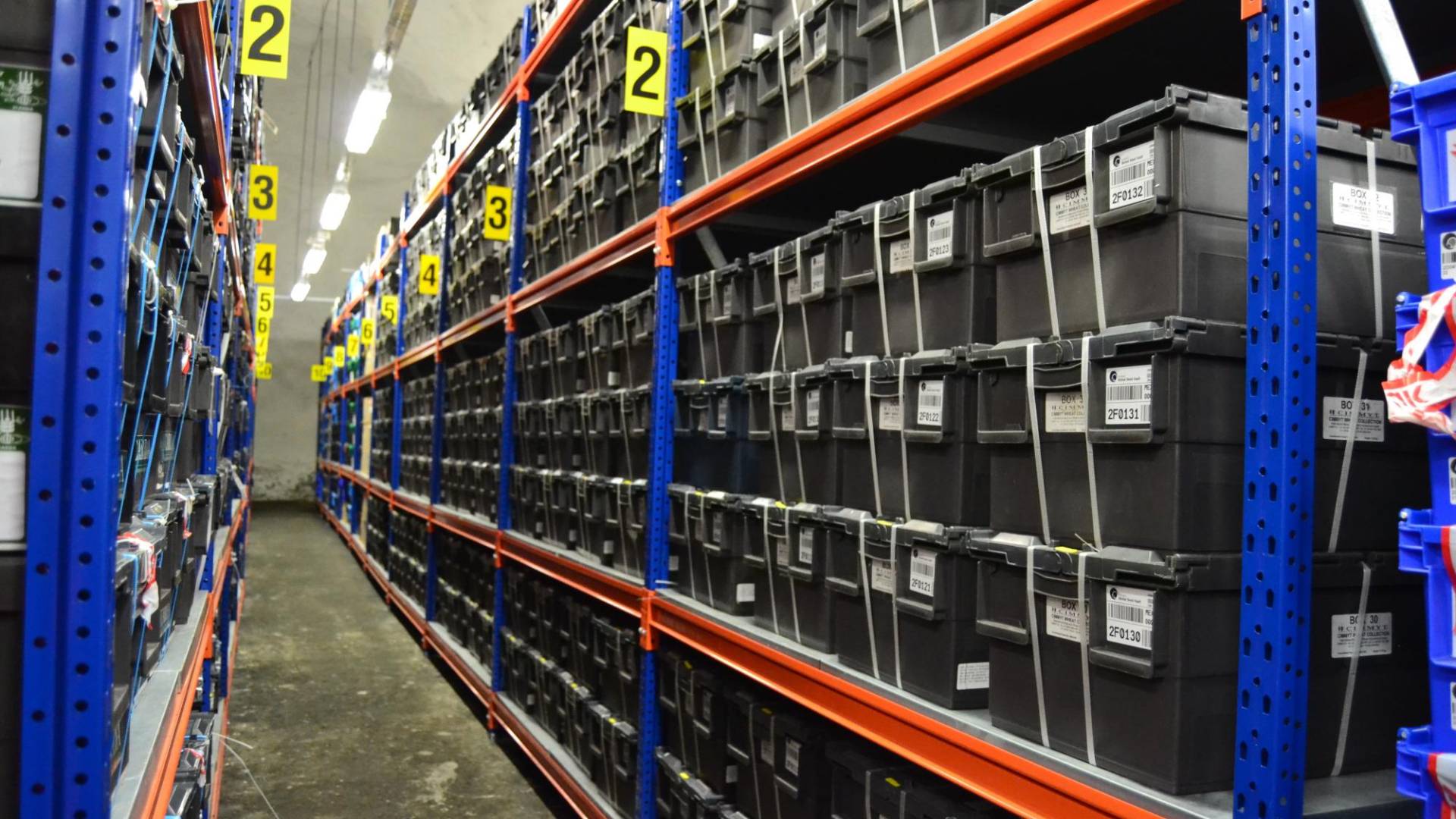 $!1.3 millones de semillas de todo el mundo.