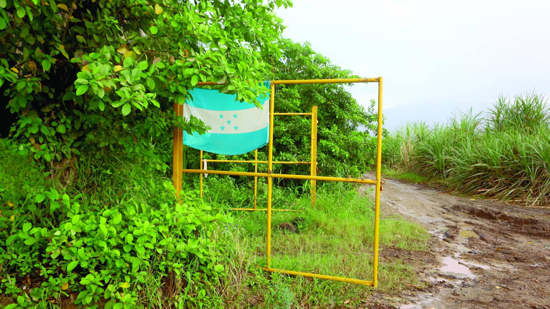 $!En 2023 se han realizado unos 40 desalojos de tierras, según organizaciones campesinas.