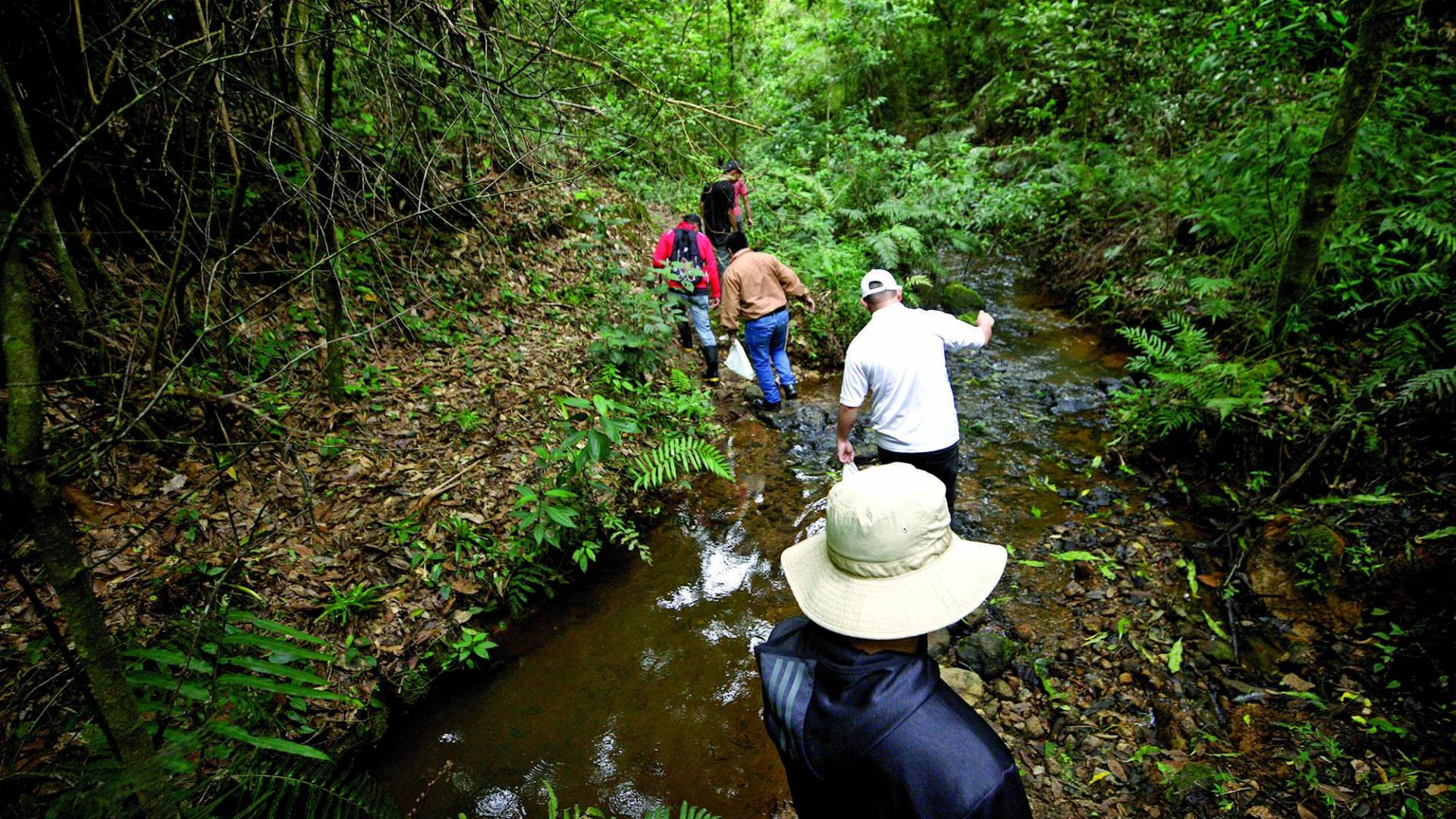 $!Cinco años después en la zona del accidente.