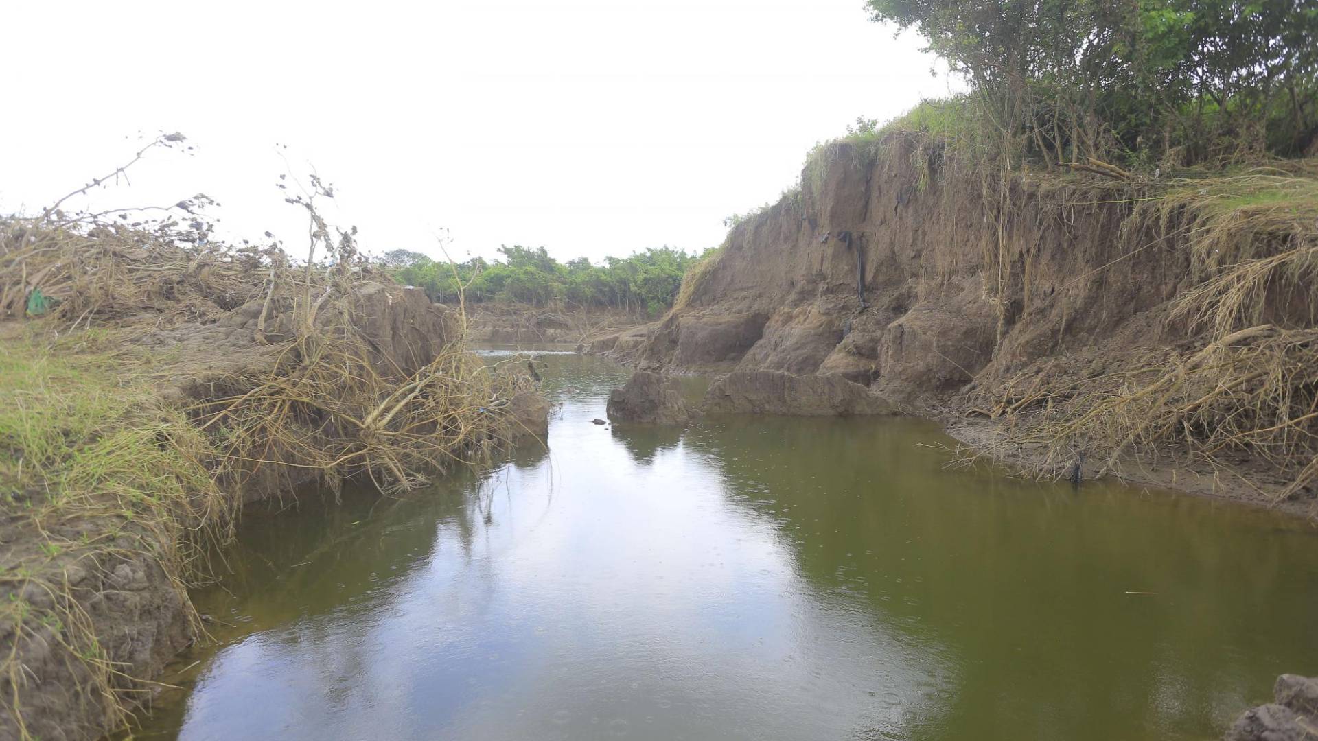 $!Canal Maya. El Chamelecón destruyó bordos. La reciente inundación causó grandes destrucciones en el bordo del canal Maya en los campos bananeros de La Lima.