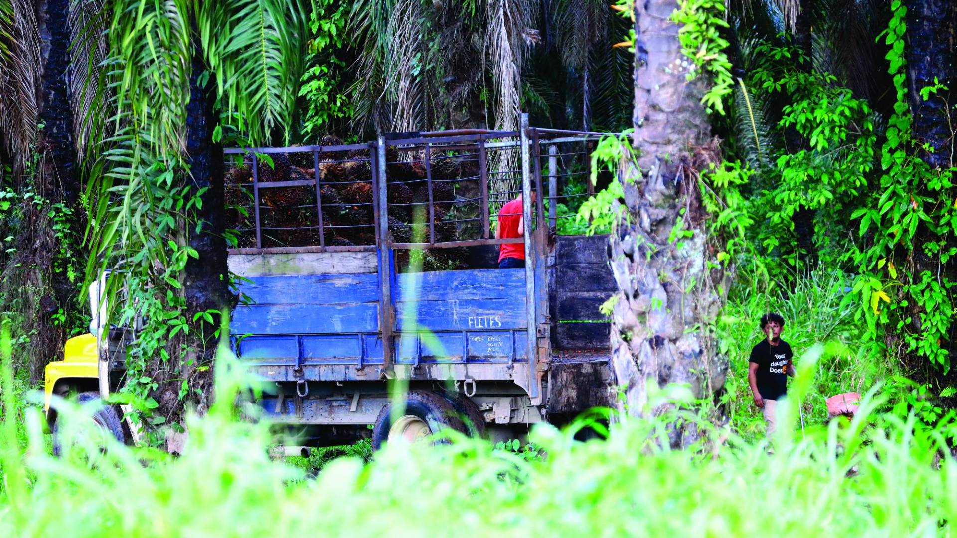 $!En algunas de las entradas de las fincas hay sujetos vigilando permanentemente, creando zozobra entre los pobladores.