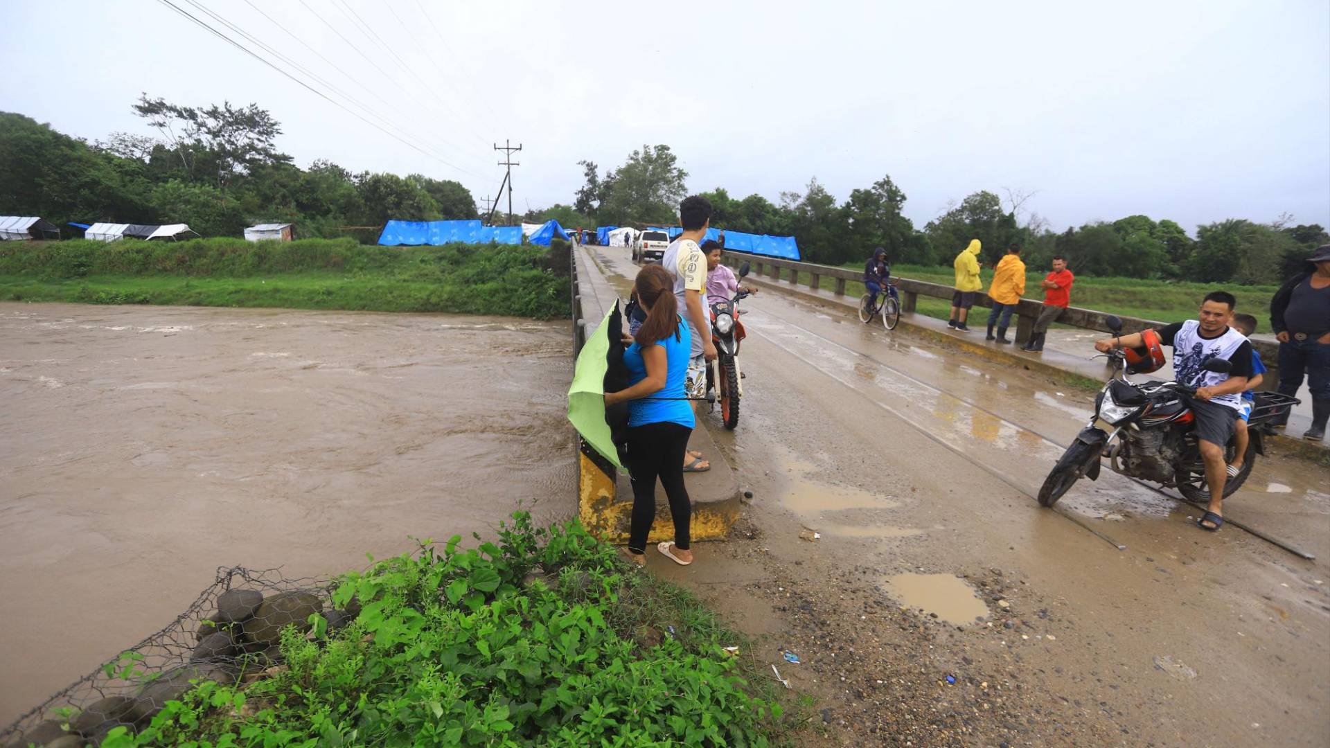 $!El nivel máximo del chamelecón inundó partes bajas donde hay rupturas enormes de bordos.