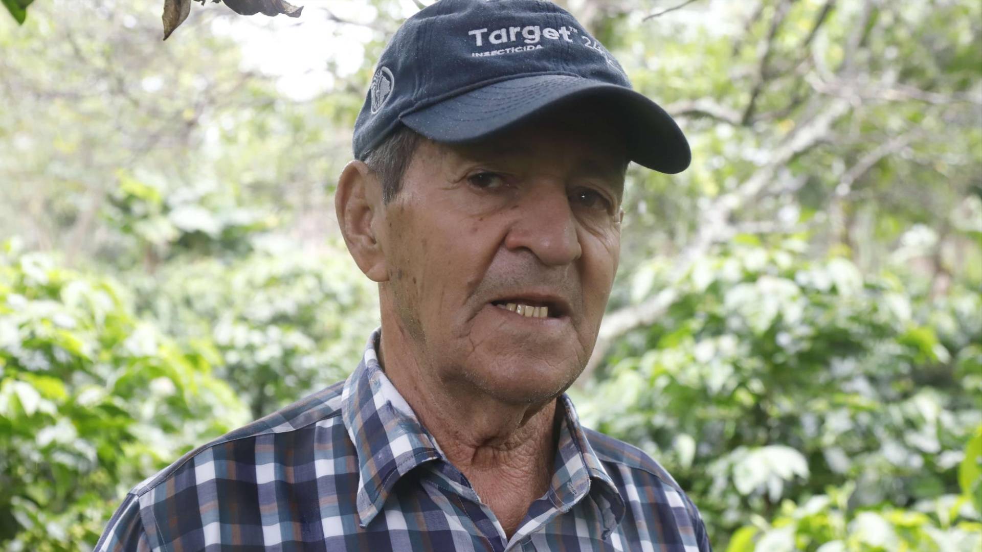 $!Rafael Perdomo, conocedor del café